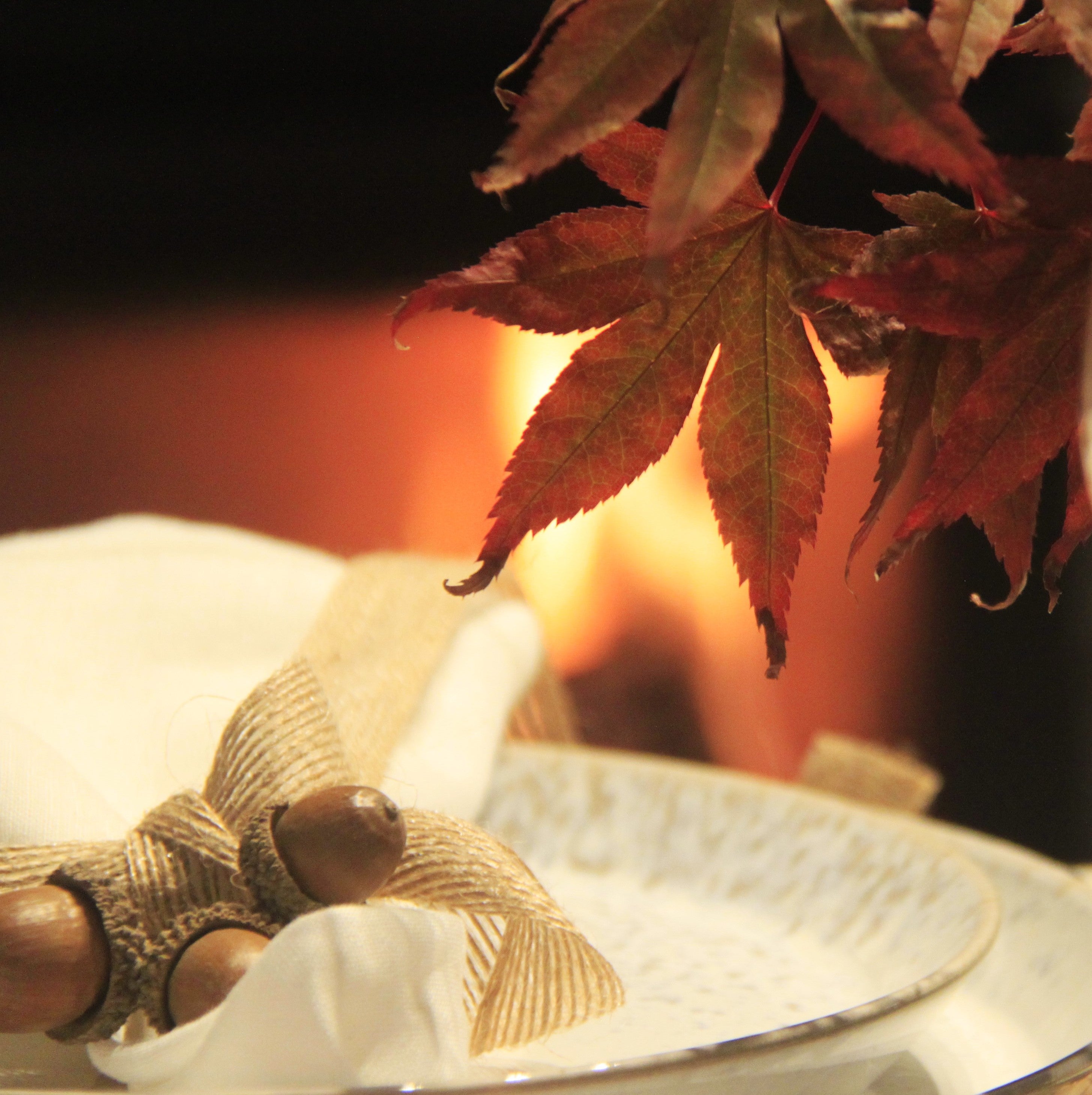 ACORNS NAPKIN DECORATION - Pair