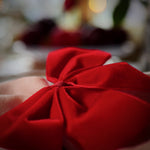 Load image into Gallery viewer, RUBY RED VELVET NAPKIN BOWS - Pair
