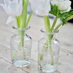 Load image into Gallery viewer, VINTAGE ETCHED APOTHECARY BOTTLES - Pair

